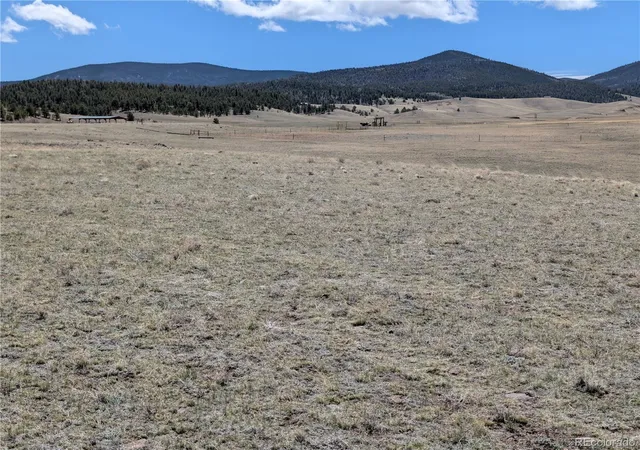 Homes for sale in Hartsel, CO | County Road 118, Hartsel, CO 80449 | MLS# 4545301