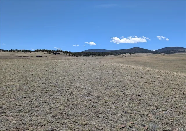 Homes for sale in Hartsel, CO | County Road 118, Hartsel, CO 80449 | MLS# 4545301