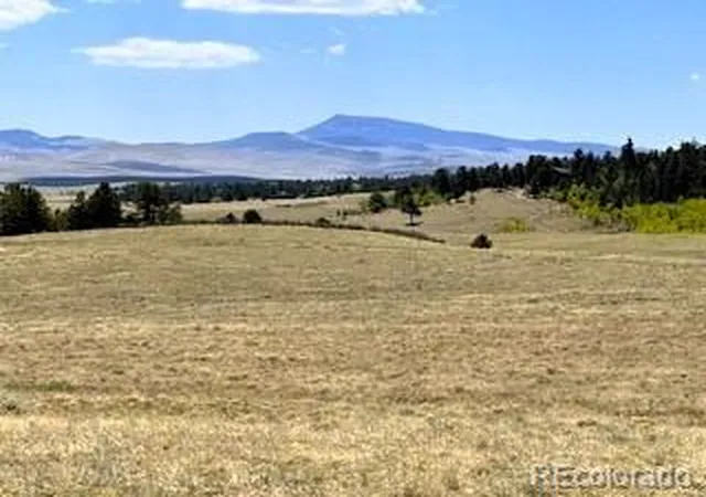 3rd image of 7493 Ranch Rd, Hartsel, CO 80449 | MLS# 9308984