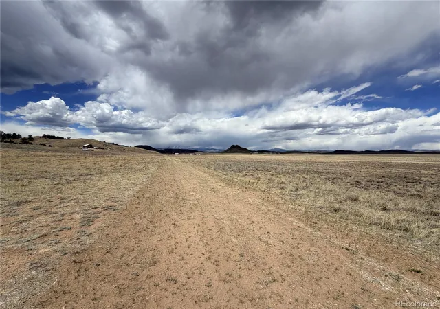 Homes for sale in Hartsel, CO | 1192 Corral Rd, Hartsel, CO 80449 | MLS# 2567180