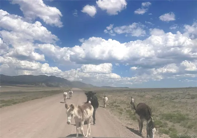 Photo 1 of Land for sale at Parrot Dr, Alamosa, CO 81101 | MLS# 6366636 | Listing updated on 2026-06-18