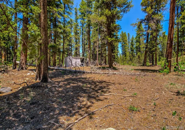 3rd image of 4100 Co Rd 1, Fairplay, CO 80440 | MLS# 7053989