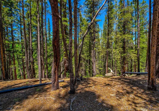 4th image of 4100 Co Rd 1, Fairplay, CO 80440 | MLS# 7053989