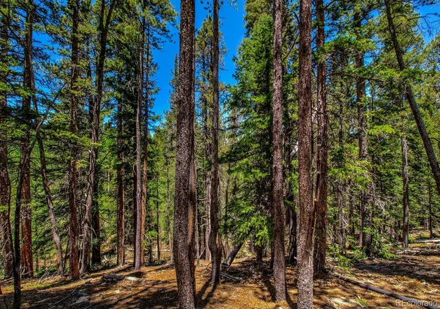 5th image of 4100 Co Rd 1, Fairplay, CO 80440 | MLS# 7053989