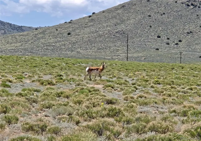 Photo 5 of Land for sale at 16Th Street North, Blanca, CO 81123 | MLS# 4284073 | Listing updated on 2026-08-23