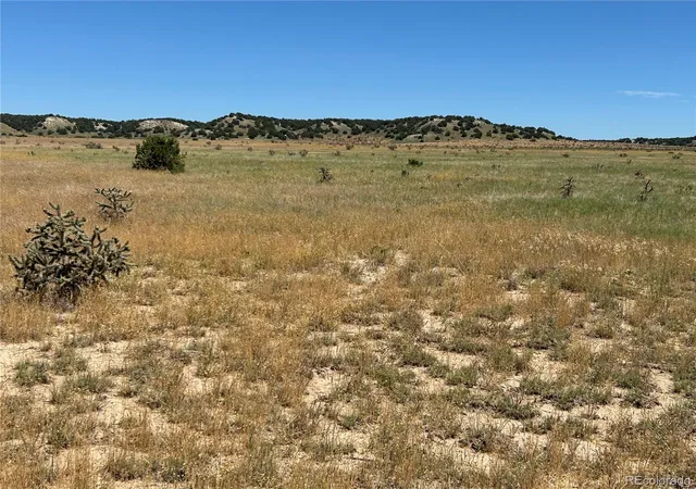 4th image of Lot 4 Outback Ranch, Model, CO 81059 | MLS# 9406798