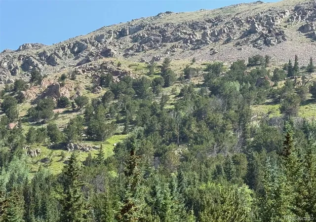 4th image of 3800 Fourth Of July Rd, Nederland, CO 80216 | MLS# 4236219