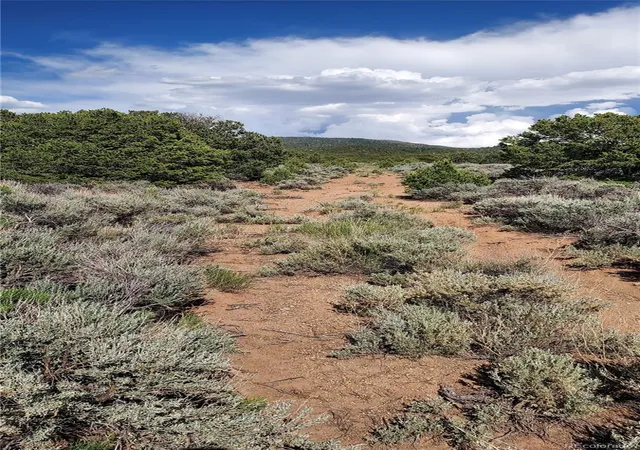 Photo 2 of Land for sale at Stevenson, San Luis, CO 81152 | MLS# 1768572 | Listing updated on 2026-10-01