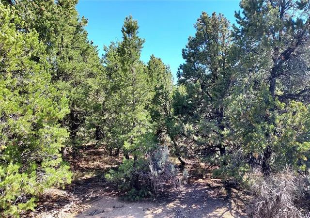 Photo 3 of Land for sale at Stevenson, San Luis, CO 81152 | MLS# 1768572 | Listing updated on 2026-10-01