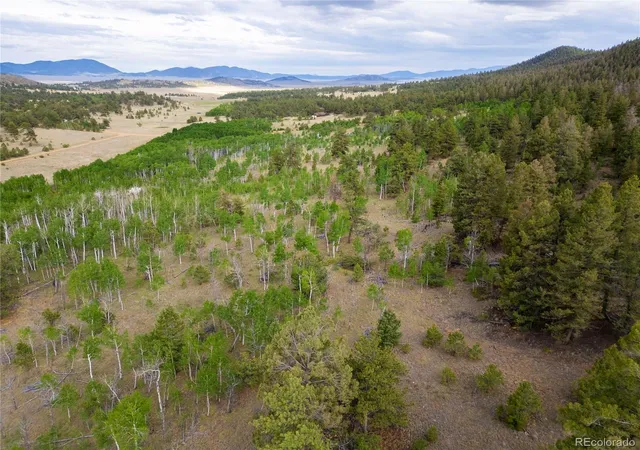 Photo 1 of Land for sale at 2396 Fitzsimmons Rd, Hartsel, CO 80449 | MLS# 7682596 | Listing updated on 2025-12-31