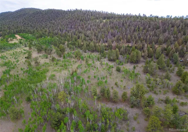 Photo 2 of Land for sale at 2396 Fitzsimmons Rd, Hartsel, CO 80449 | MLS# 7682596 | Listing updated on 2025-12-31