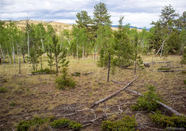 Photo 3 of Land for sale at 2396 Fitzsimmons Rd, Hartsel, CO 80449 | MLS# 7682596 | Listing updated on 2025-12-31