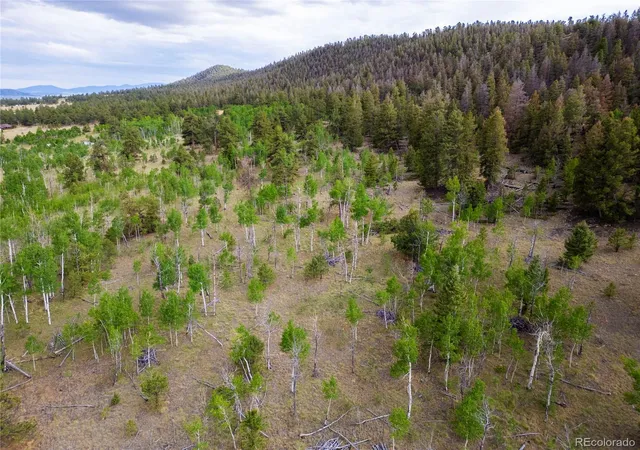 Photo 36 of Land for sale at 2396 Fitzsimmons Rd, Hartsel, CO 80449 | MLS# 7682596 | Listing updated on 2025-12-31