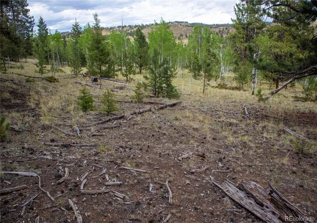 Photo 4 of Land for sale at 2396 Fitzsimmons Rd, Hartsel, CO 80449 | MLS# 7682596 | Listing updated on 2025-12-31