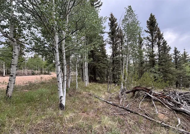Homes for sale in Jefferson, CO | 1928 Wells Fargo Cir, Jefferson, CO 80456 | MLS# 1924741