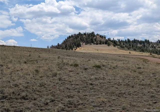 Homes for sale in Hartsel, CO | Coyotero Trl, Hartsel, CO 80449 | MLS# 6013780