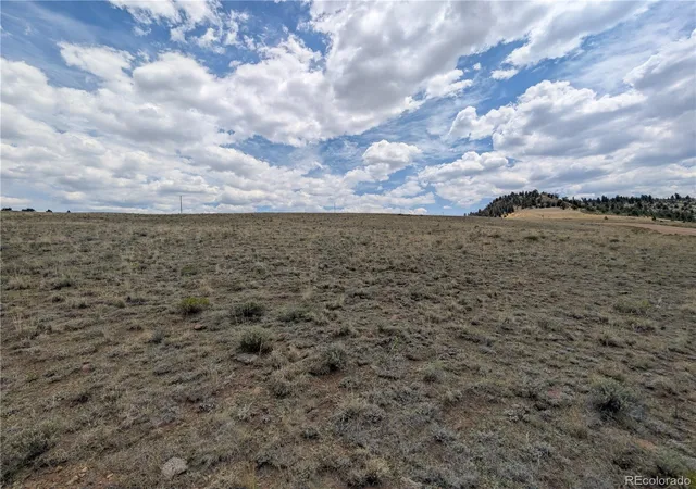 Homes for sale in Hartsel, CO | Coyotero Trl, Hartsel, CO 80449 | MLS# 6013780