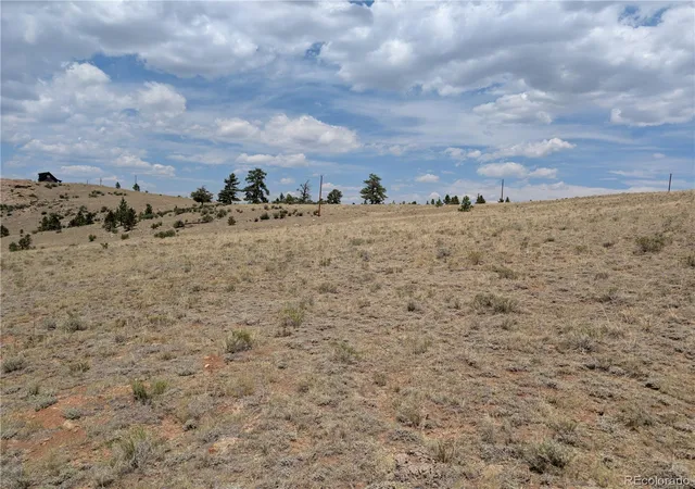 Homes for sale in Hartsel, CO | Coyotero Trl, Hartsel, CO 80449 | MLS# 6013780