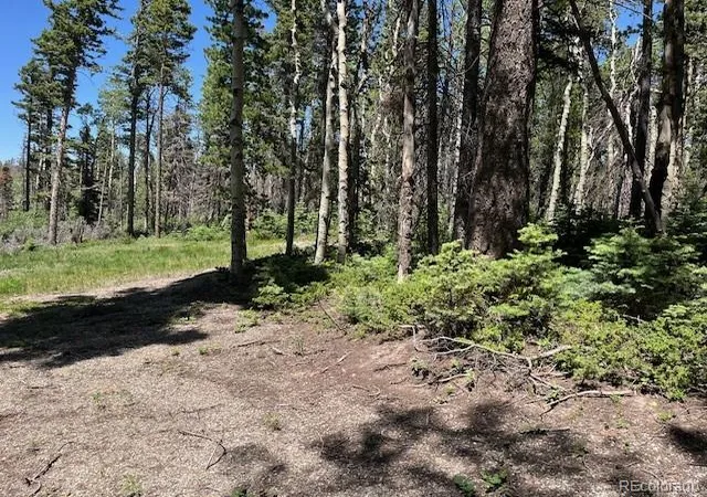 Homes for sale in Fort Garland, CO | Lot 2449 Petito Dr, Fort Garland, CO 81133 | MLS# 2786357