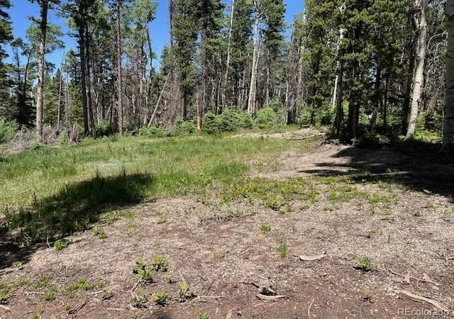 Homes for sale in Fort Garland, CO | Lot 2449 Petito Dr, Fort Garland, CO 81133 | MLS# 2786357