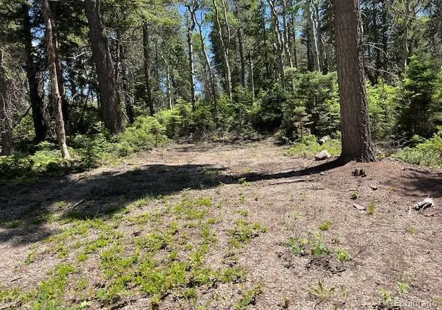 Homes for sale in Fort Garland, CO | Lot 2449 Petito Dr, Fort Garland, CO 81133 | MLS# 2786357