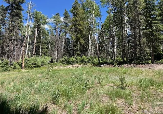 Homes for sale in Fort Garland, CO | Lot 2449 Petito Dr, Fort Garland, CO 81133 | MLS# 2786357