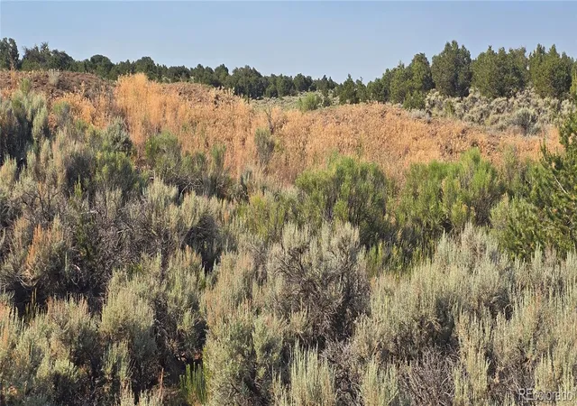 Homes for sale in Fort Garland, CO | Lot 4075 Tiernan Rd, Fort Garland, CO 81133 | MLS# 6756747