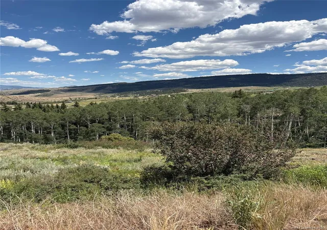 Homes for sale in Kremmling, CO | 1874 Gcr 162, Kremmling, CO 80459 | MLS# 9171289