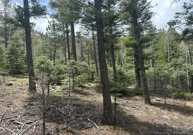 Photo 2 of Land for sale at 357 Big Horn, Manitou Springs, CO 80829 | MLS# 5232239 | Listing updated on 2026-10-29