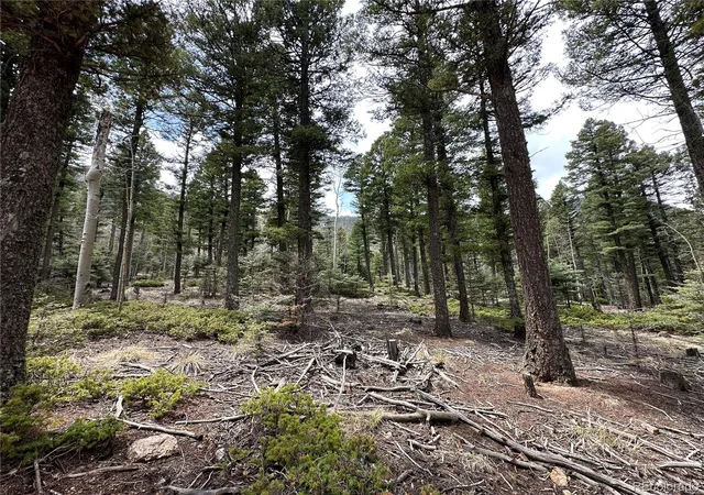 Photo 3 of Land for sale at 357 Big Horn, Manitou Springs, CO 80829 | MLS# 5232239 | Listing updated on 2026-10-29