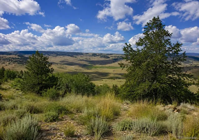 Homes for sale in Jefferson, CO | 639 Spade Pl, Jefferson, CO 80456 | MLS# 2353533