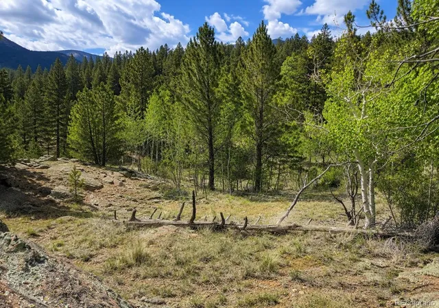 Homes for sale in Jefferson, CO | 639 Spade Pl, Jefferson, CO 80456 | MLS# 2353533
