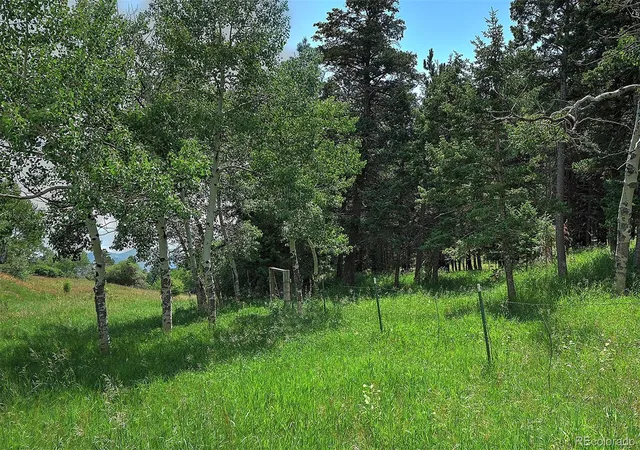 2nd image of 13884 N Trail Cir, Littleton, CO 80127 | MLS# 3177567