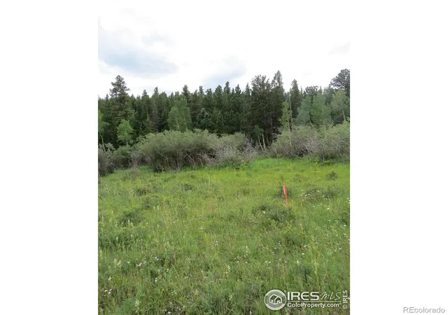Photo 2 of Land for sale at 0 Peak To Peak Hwy, Nederland, CO 80466 | MLS# IR1040129 | Listing updated on 2026-06-25