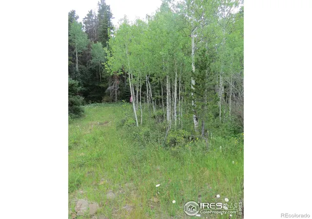 Photo 3 of Land for sale at 0 Peak To Peak Hwy, Nederland, CO 80466 | MLS# IR1040129 | Listing updated on 2026-06-25