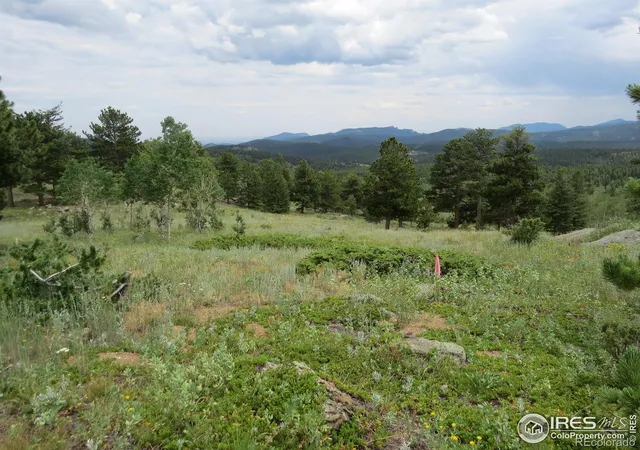 Photo 3 of Land for sale at 0 Peak To Peak Hwy, Nederland, CO 80466 | MLS# IR1040129 | Listing updated on 2026-06-25