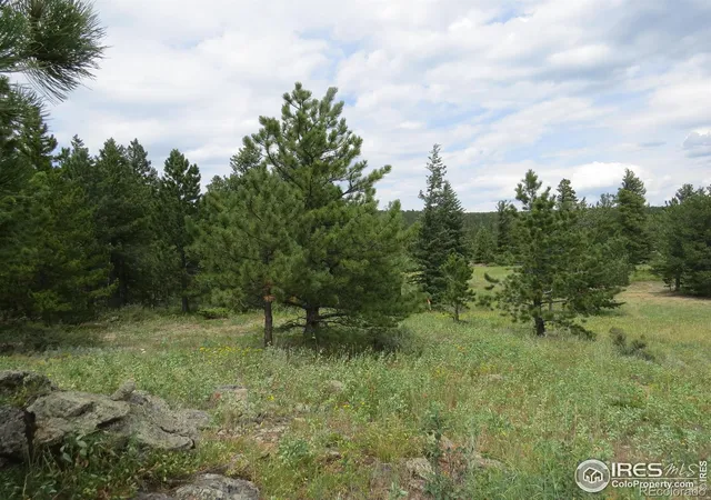 Photo 4 of Land for sale at 0 Peak To Peak Hwy, Nederland, CO 80466 | MLS# IR1040129 | Listing updated on 2026-06-25