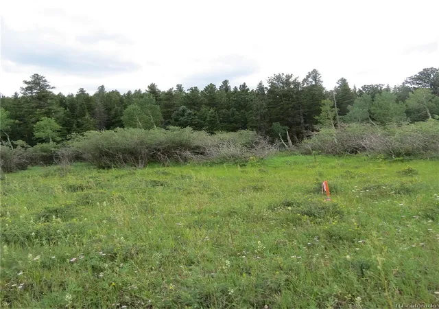 Photo 1 of Land for sale at Peak To Peak Hwy, Nederland, CO 80466 | MLS# 2002177 | Listing updated on 2026-06-25