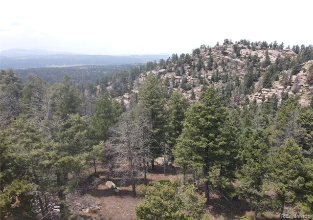 17th image of 3546 N Mountain Estates Rd, Florissant, CO 80816 | MLS# 3436255