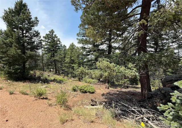 2nd image of 3546 N Mountain Estates Rd, Florissant, CO 80816 | MLS# 3436255