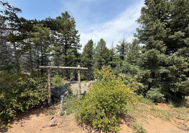3rd image of 3546 N Mountain Estates Rd, Florissant, CO 80816 | MLS# 3436255