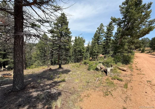 4th image of 3546 N Mountain Estates Rd, Florissant, CO 80816 | MLS# 3436255