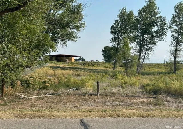 Homes for sale in Alamosa, CO | 979 County Road 8 South, Alamosa, CO 81101 | MLS# 9851033