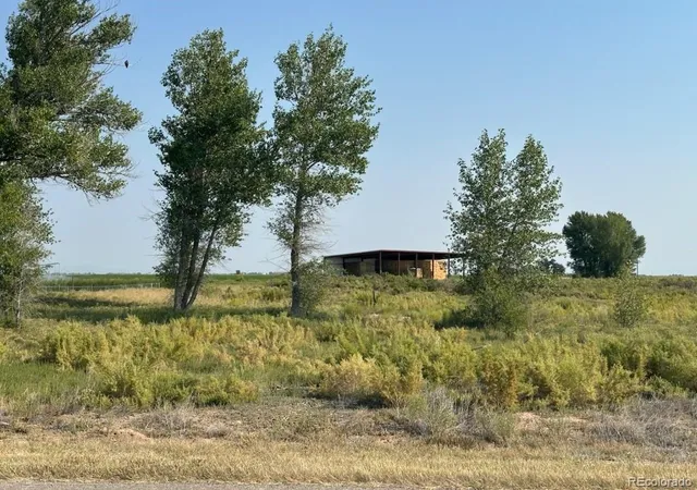 Homes for sale in Alamosa, CO | 979 County Road 8 South, Alamosa, CO 81101 | MLS# 9851033