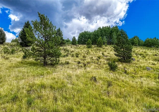 5th image of 972 Anges Dr, Cripple Creek, CO 80813 | MLS# 5723350