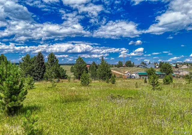 Homes for sale in Divide, CO | 1129 Will Scarlet Dr, Divide, CO 80814 | MLS# 6676422