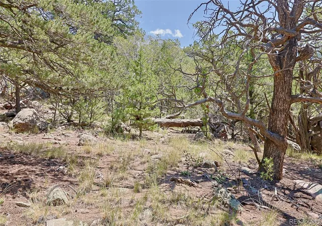 Photo 5 of Sale Pending at 453 Arrowhead Way, Crestone, CO 81131 | MLS# 9906645 | Listing updated on 2026-08-05
