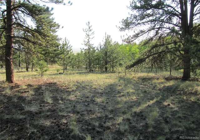 Photo 1 of Sale Pending at 9736 Ranch Rd, Hartsel, CO 80449 | MLS# 8272038 | Listing updated on 2026-08-25