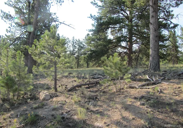 Photo 3 of Sale Pending at 9736 Ranch Rd, Hartsel, CO 80449 | MLS# 8272038 | Listing updated on 2026-08-25