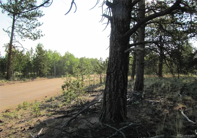 Photo 5 of Sale Pending at 9736 Ranch Rd, Hartsel, CO 80449 | MLS# 8272038 | Listing updated on 2026-08-25